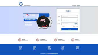 b2c商城