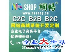 b2c商务运营模式