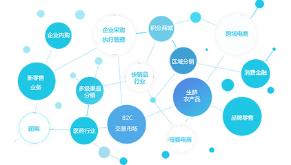 选择五六网络轻松实现B2C电商系统平台营销模式